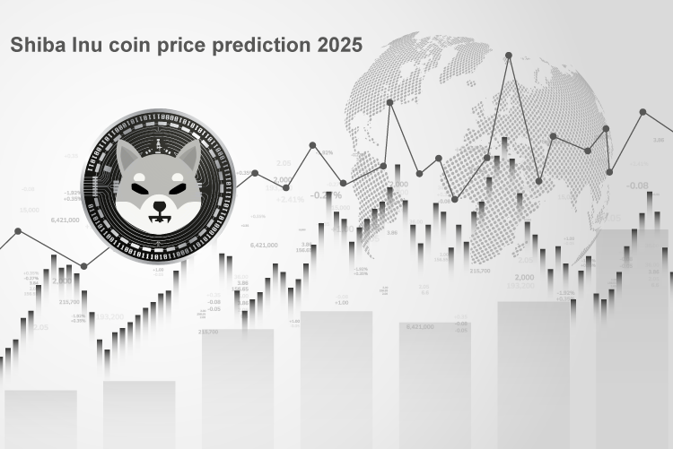 Shiba Inu coin price prediction 2025